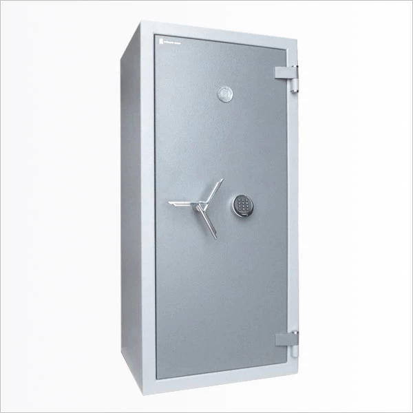  Muller Safe Dresden 41010 E