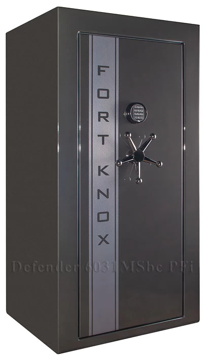   Fort Knox Defender 6031MSbc PFi