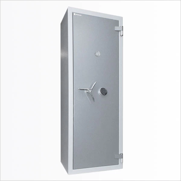  Muller Safe Dresden 41011 E